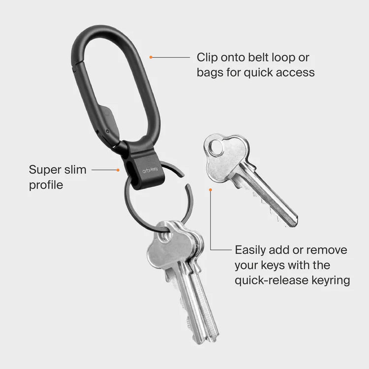 Orbit Key- Clip Mini Silver Silver